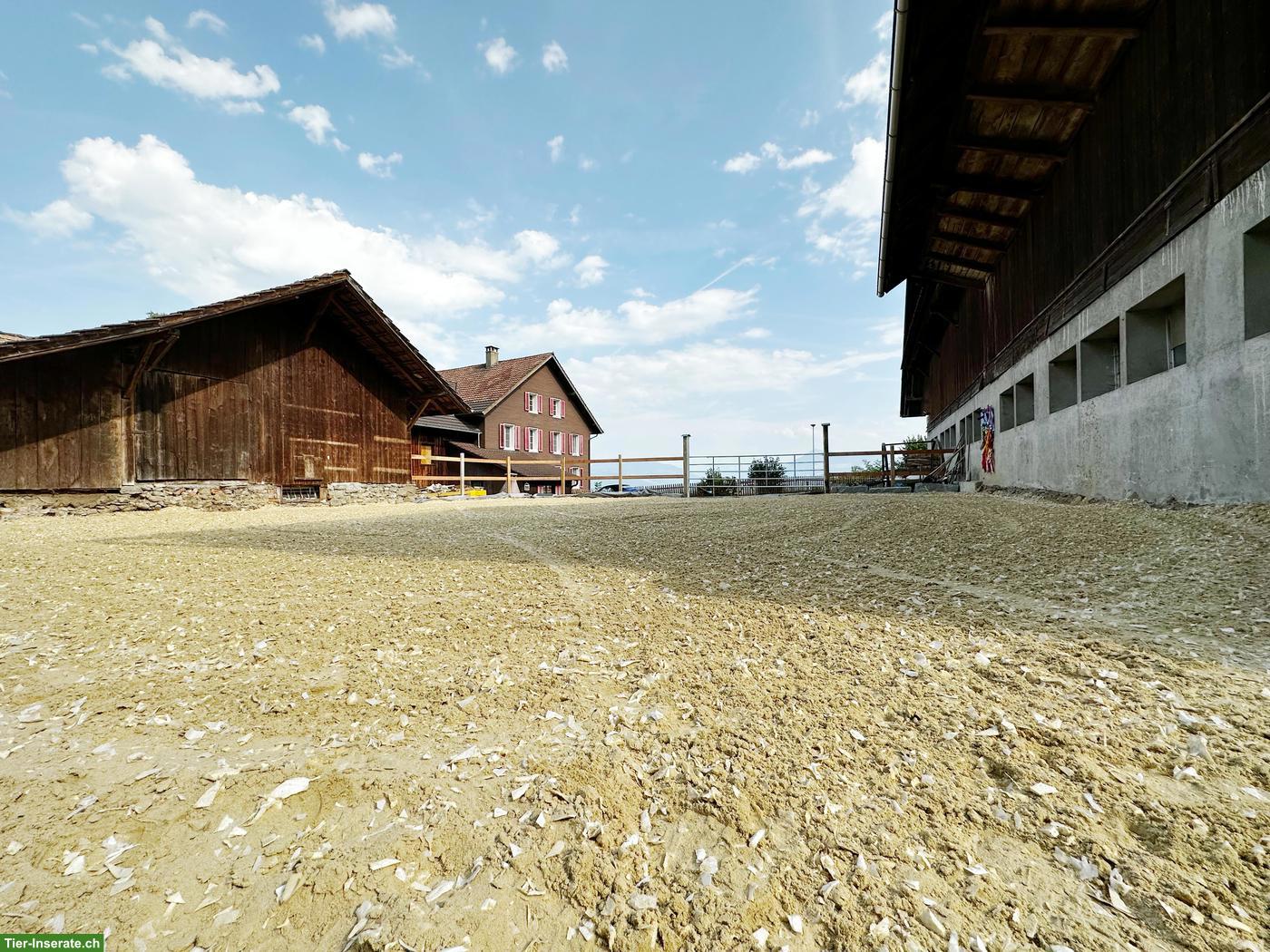 Bild 2: Zu vermieten: 8'392 m² | 6.5 EFH Zimmer | 4 Pferde-Auslaufboxen uvm