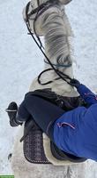 Reiter sucht Pferd im Raum Basel
