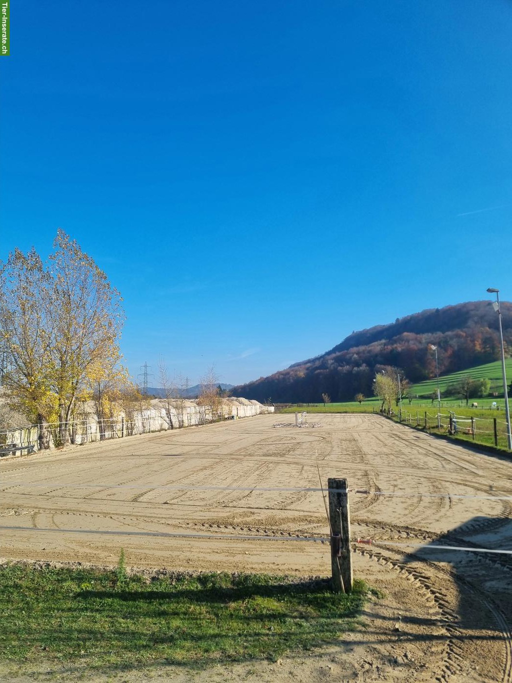 Bild 2: Grosse Auslaufboxe zu vermieten in Eiken AG