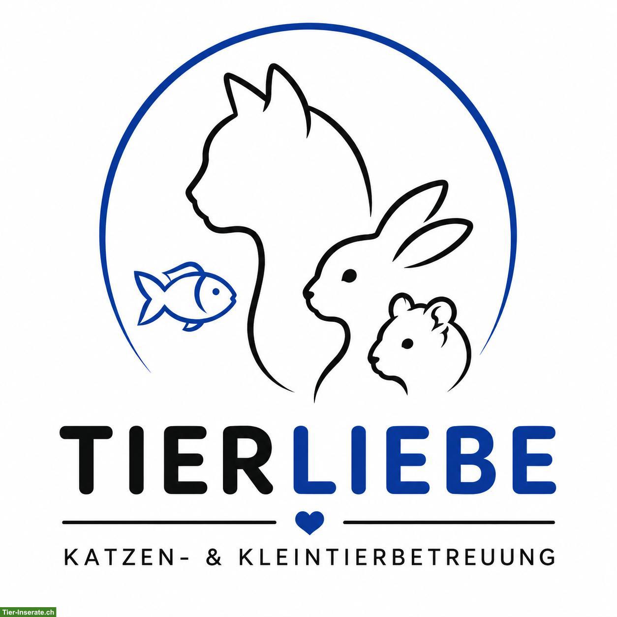 Katzen- & Kleintierbetreuung im Limmattal - Ferien für 2027 geplant?