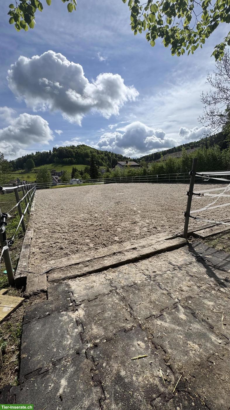 Bild 4: Offenstallplatz frei in 9112 Schachen bei Herisau