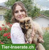 Zuverlässige Tiersitterin: liebevolle Hunde- & Katzenbetreuung