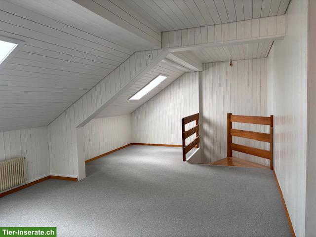 Bild 10: 4.5 Zimmer Bauernhaus mit Pferdestall zu vermieten