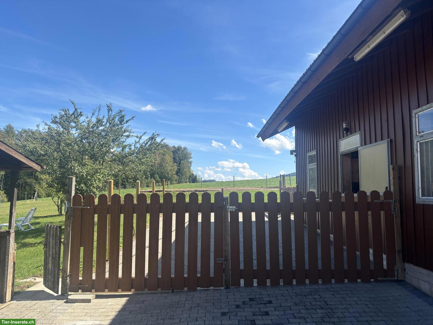 Bild 2: 4.5 Zimmer Bauernhaus mit Pferdestall zu vermieten