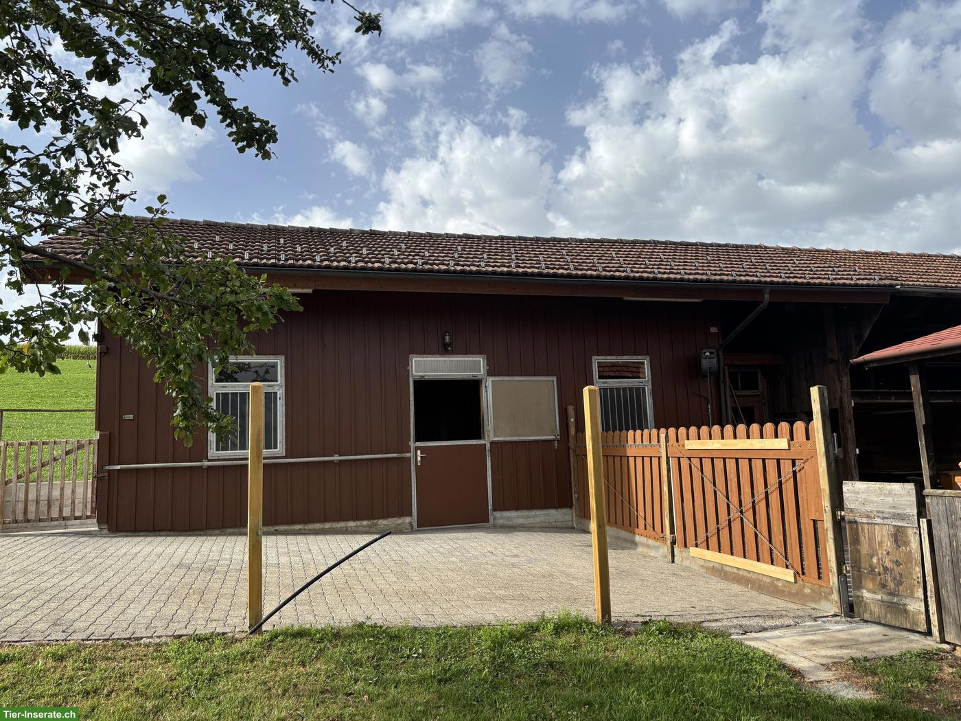 Bild 4: 4.5 Zimmer Bauernhaus mit Pferdestall zu vermieten