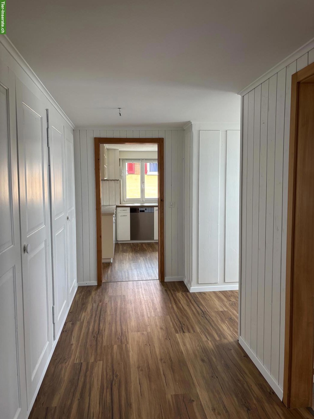 Bild 7: 4.5 Zimmer Bauernhaus mit Pferdestall zu vermieten