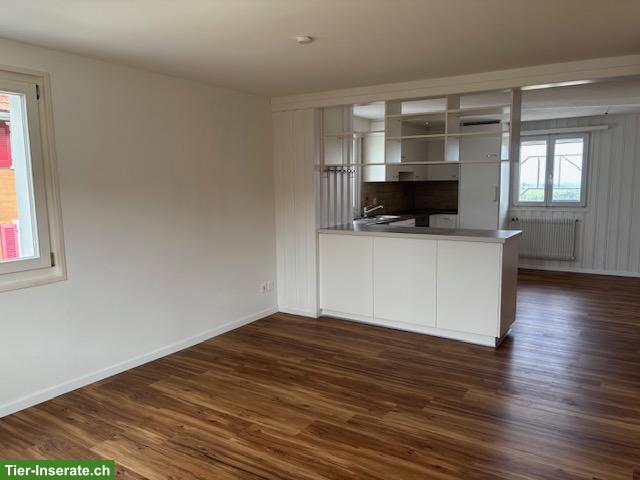 Bild 9: 4.5 Zimmer Bauernhaus mit Pferdestall zu vermieten