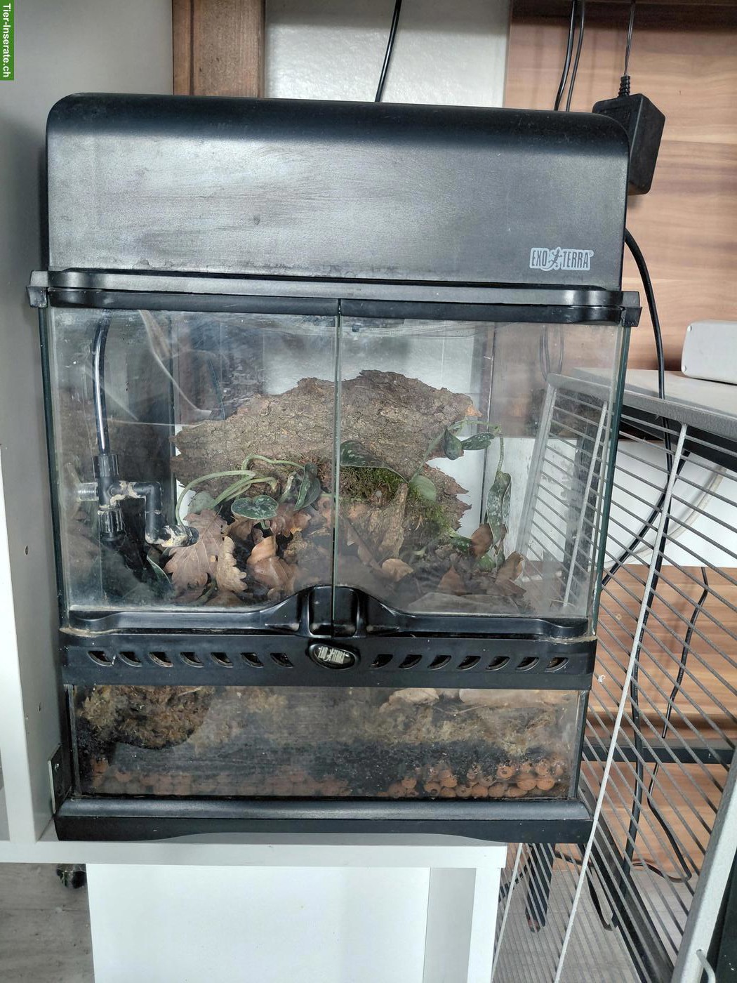 2 Terrarien mit Heizmatten und Regenanlage