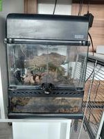 2 Terrarien mit Heizmatten und Regenanlage