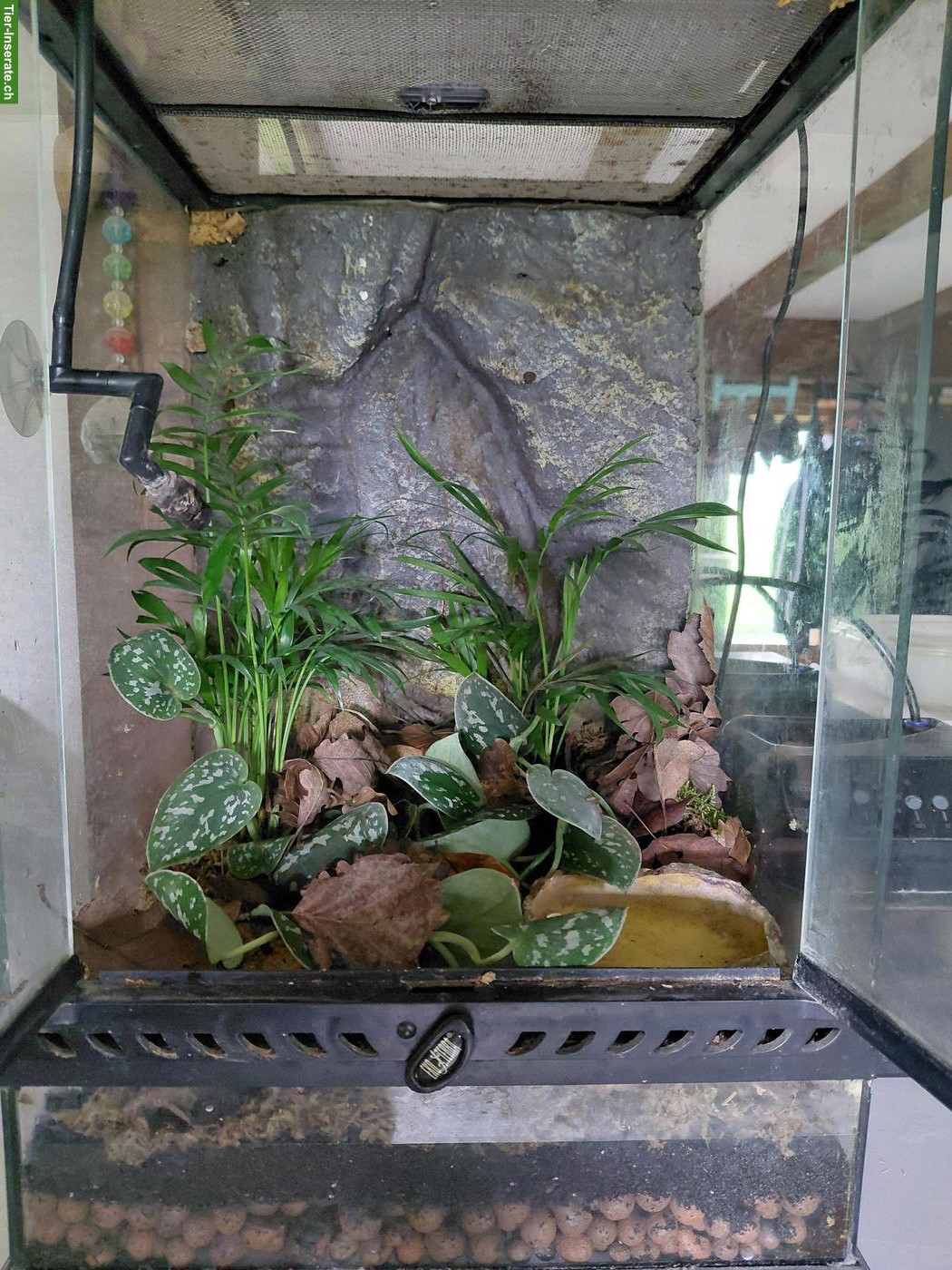 Bild 5: 2 Terrarien mit Heizmatten und Regenanlage