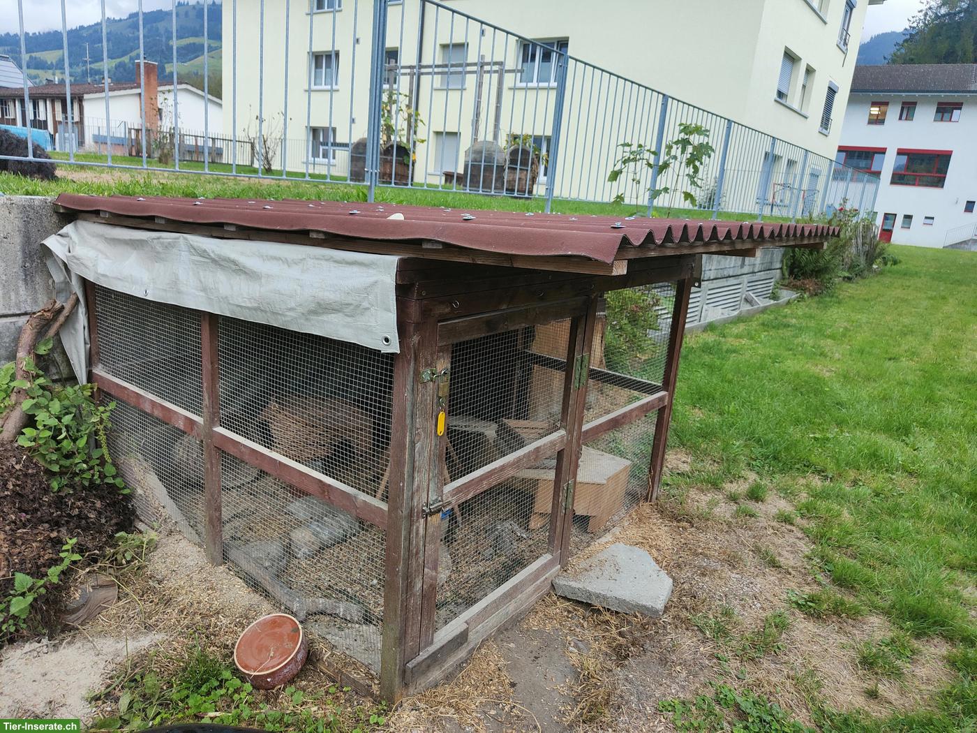 Bild 2: GRATIS: Aussengehege / Stall