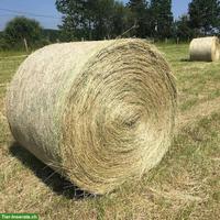 Rundballen Heu zu verkaufen