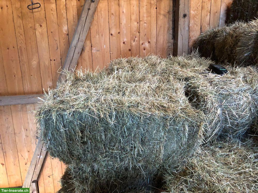 Bild 2: Quaderballen-Heu für Pferde 🌾