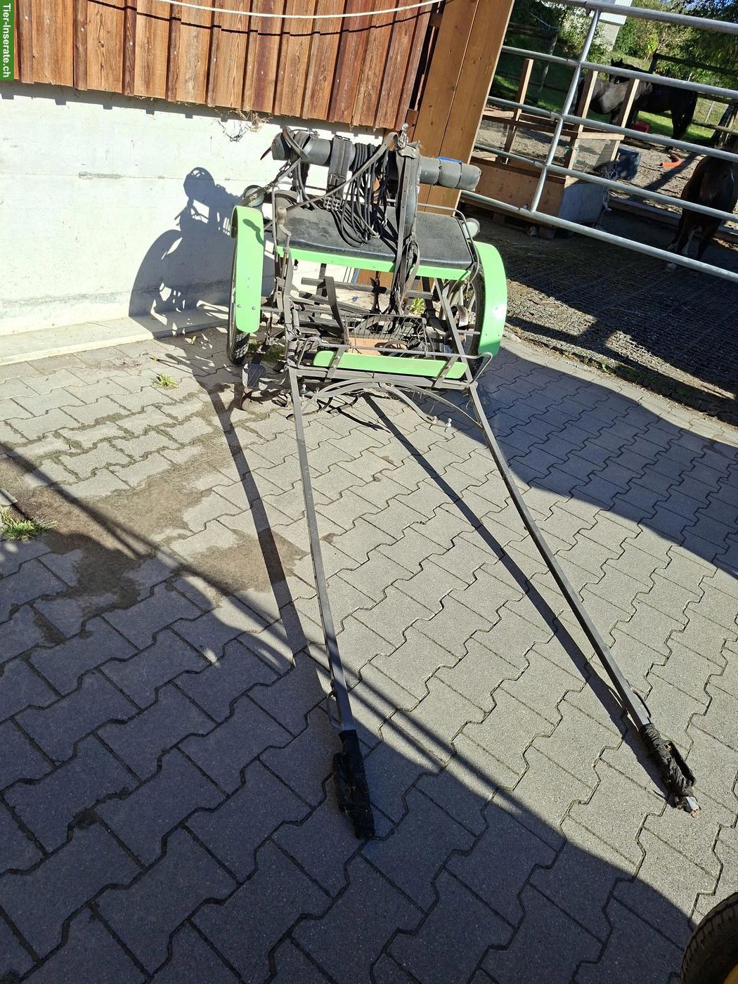 Bild 3: Zweirädrige Ponykutsche zu verkaufen