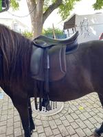 Eques Sattel 17.5 Zoll zu verkaufen