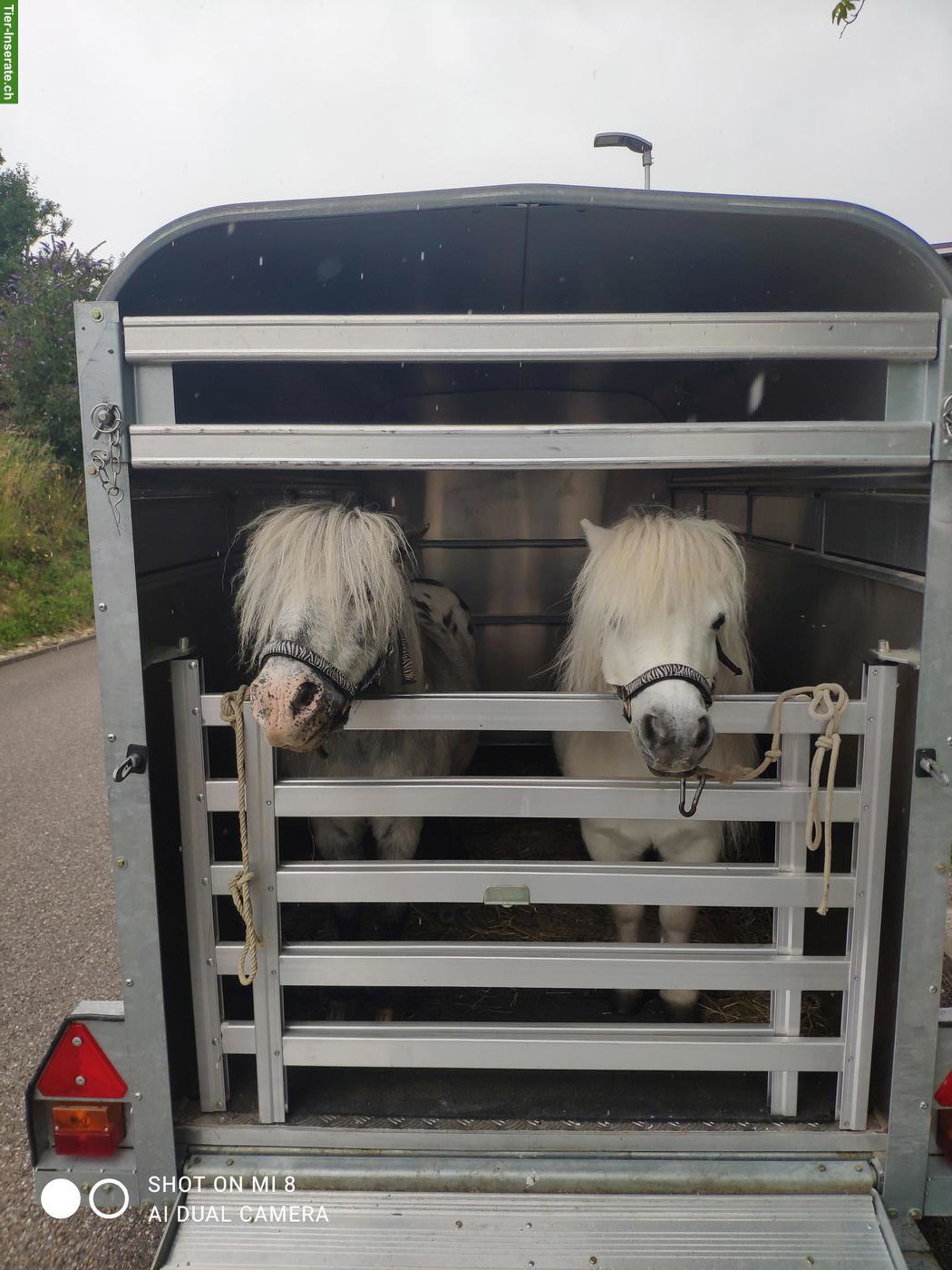 Occasion Sachentransportanhänger / Viehtransporter zu verkaufen