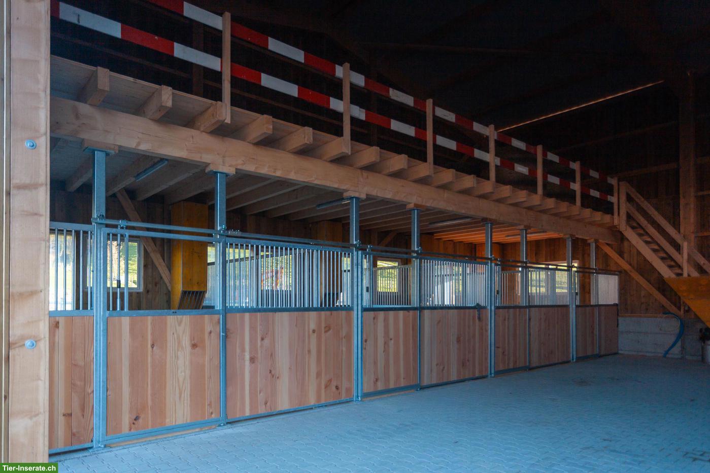 Bild 2: Demnächst Auslaufboxe in Bretzwil BL zu vermieten