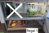 Diverse Terrarien abzugeben inkl. Schwerlastregal