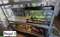 Diverse Terrarien abzugeben mit Schwerlastregal