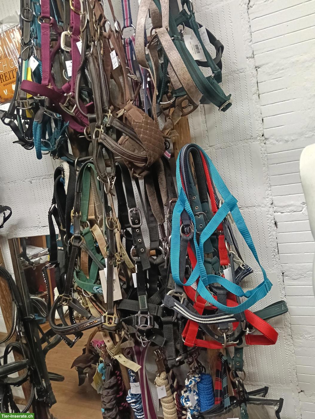 Bild 4: 2nd Hand Reitsportgeschäft in Herzogenbuchsee
