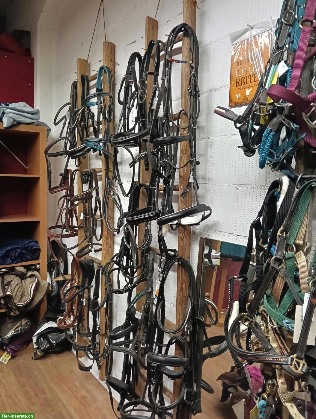 Bild 5: 2nd Hand Reitsportgeschäft in Herzogenbuchsee