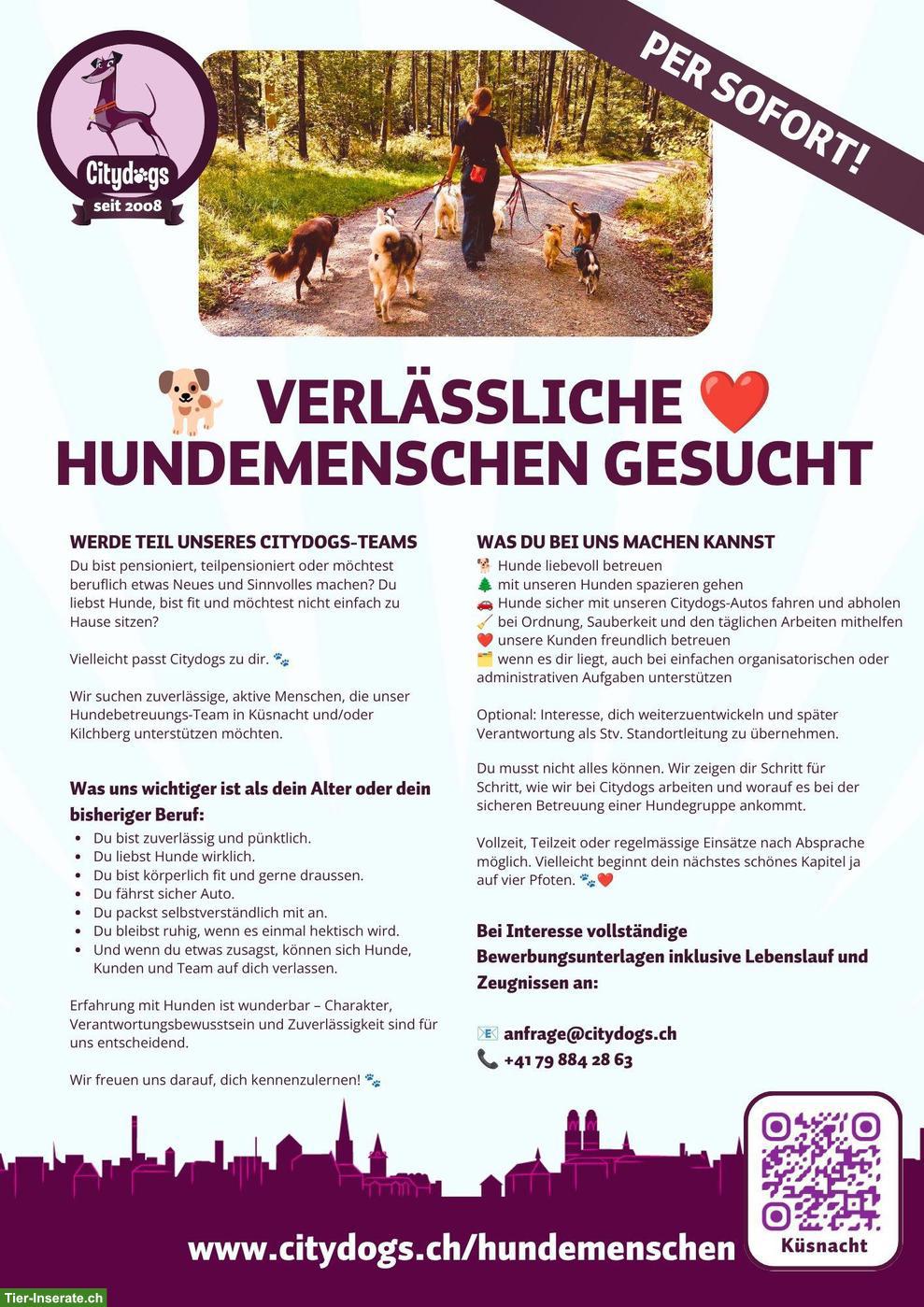 Verlässliche Hundemenschen, Hundesitter/in gesucht 🐕❤️