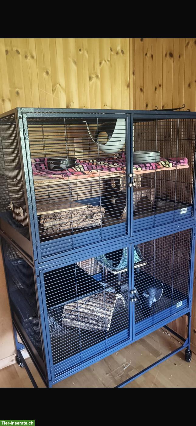 Bild 3: Savic Royal Suite 100 Käfig zu verkaufen
