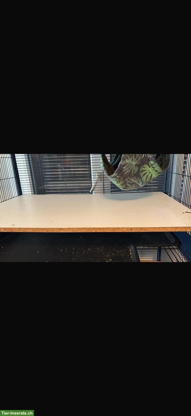 Bild 4: Savic Royal Suite 100 Käfig zu verkaufen