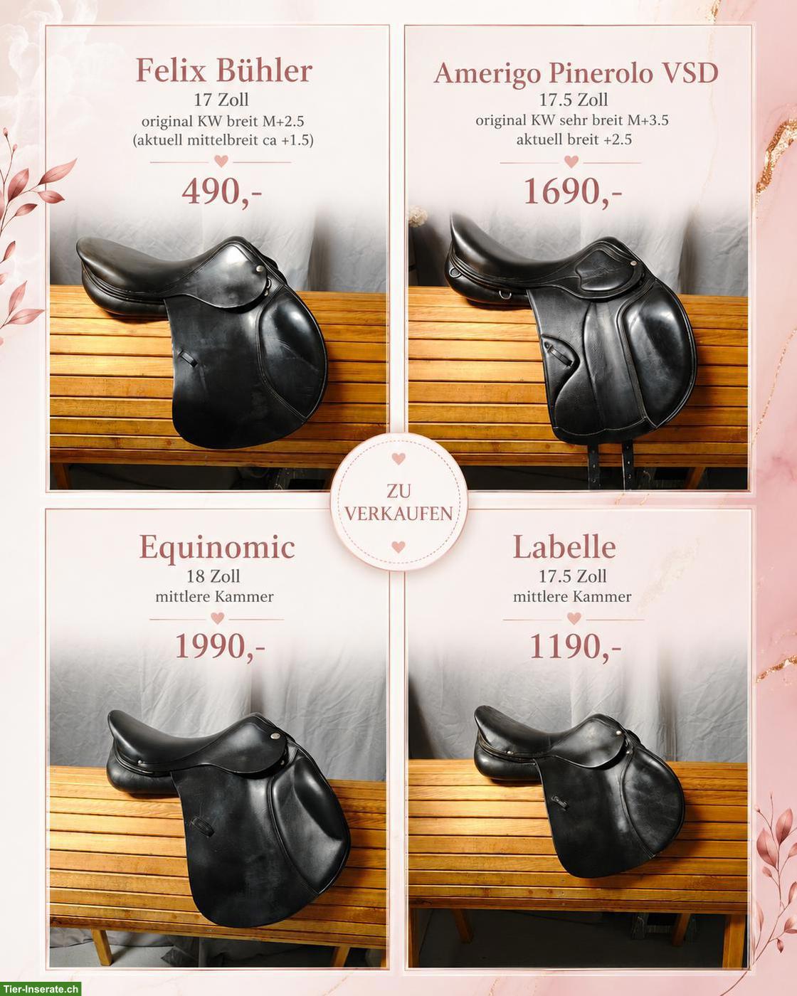 Equinomic Amerigo Pinerolo LaBelle Felix Bühler Sattel