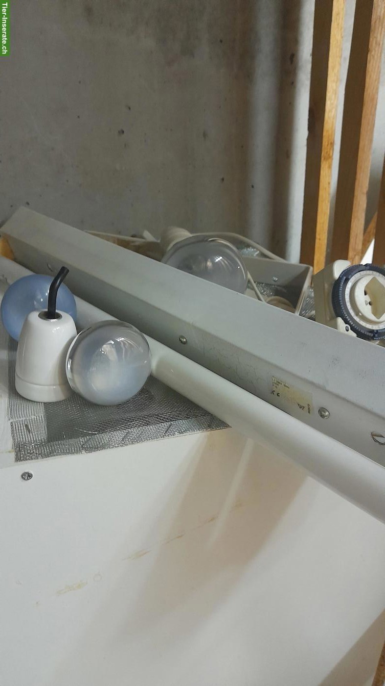 Bild 4: 2 Terrarien aus MDF zu verkaufen