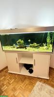 350L Aquarium Komplettset - ca. 15+ Fische, Unterschrank & Zubehör 🐠