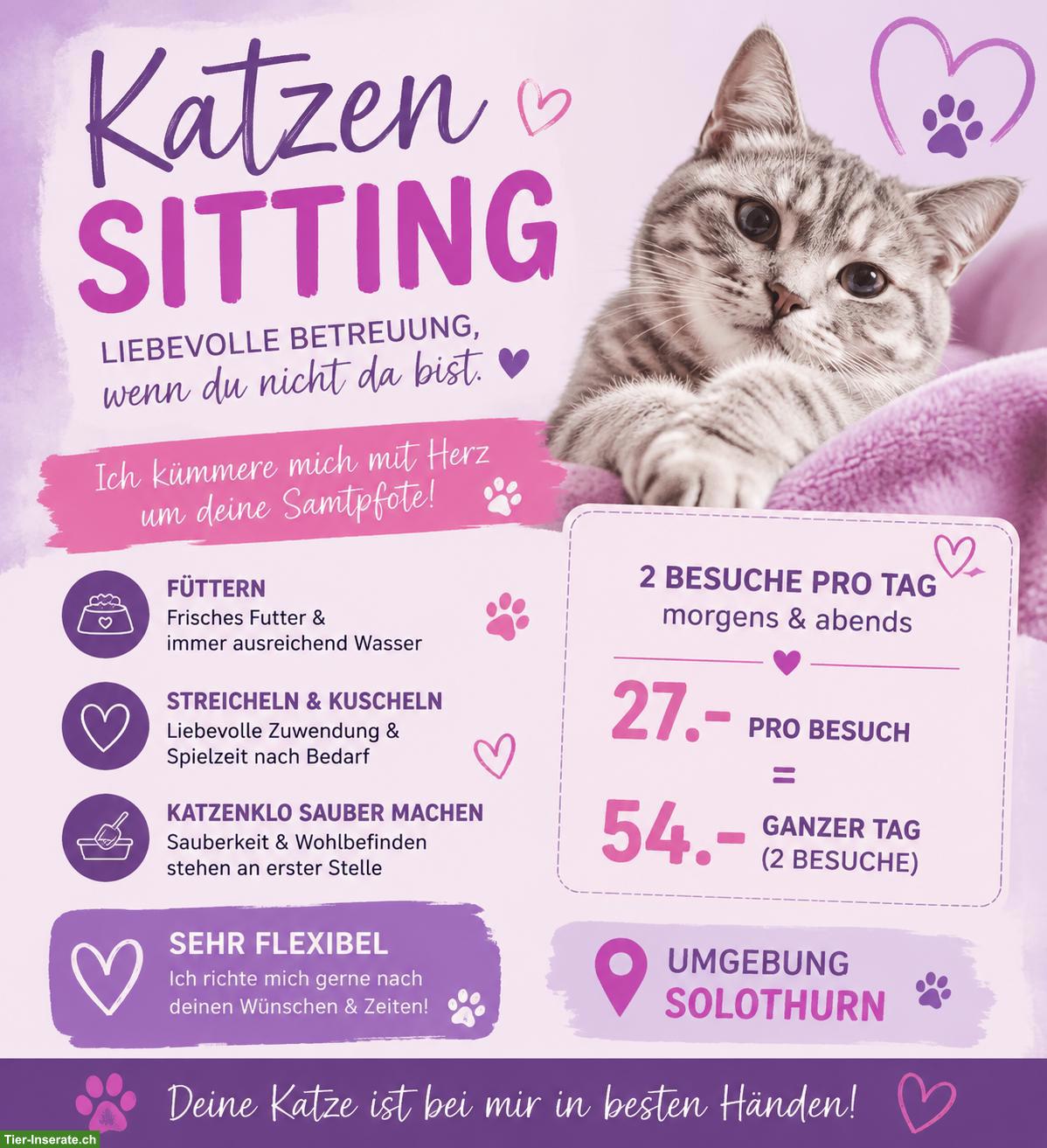 Katzensitting / Tiersitting in Solothurn