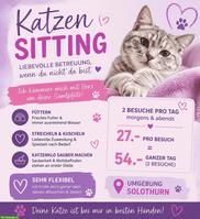 Katzensitting / Tiersitting in Solothurn