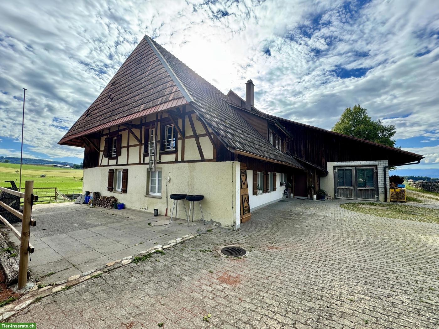 Traumwohnung auf dem Bauernhof ab Januar 2027 zu vermieten