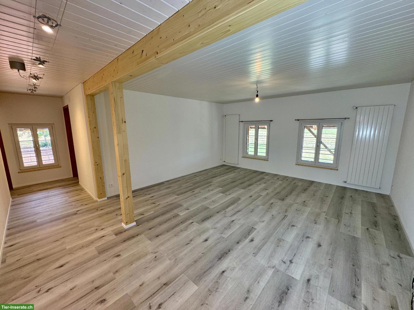 Bild 4: Traumwohnung auf dem Bauernhof ab Januar 2027 zu vermieten
