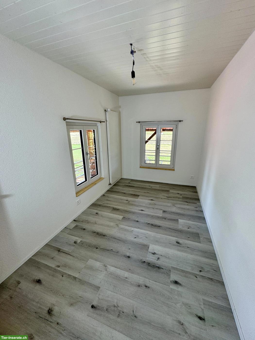 Bild 7: Traumwohnung auf dem Bauernhof ab Januar 2027 zu vermieten