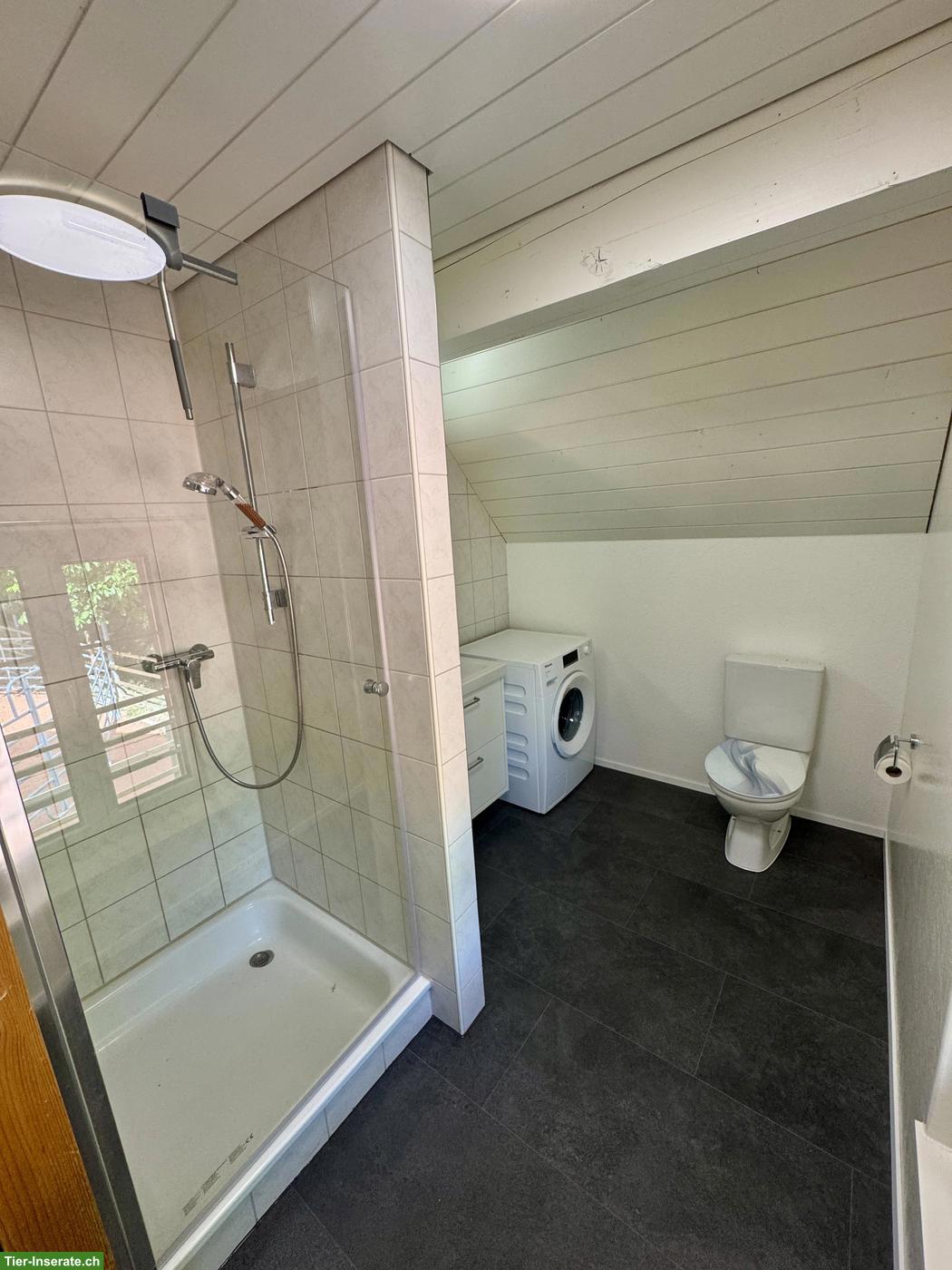 Bild 8: Traumwohnung auf dem Bauernhof ab Januar 2027 zu vermieten