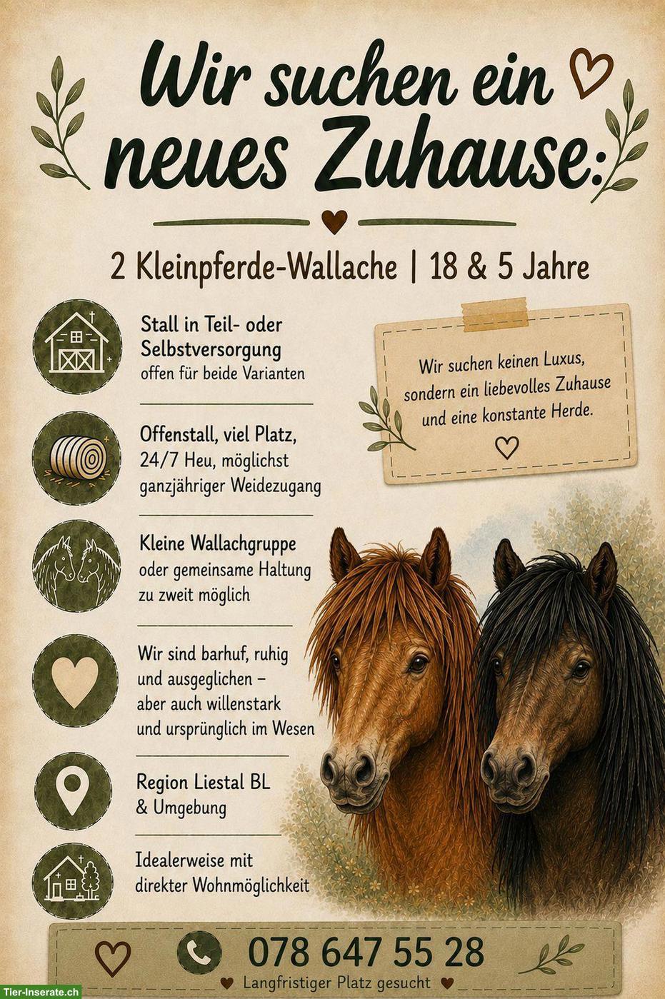 Suche Stall für 2 Kleinpferde in (Teil-)Selbstversorgung, Raum Liestal