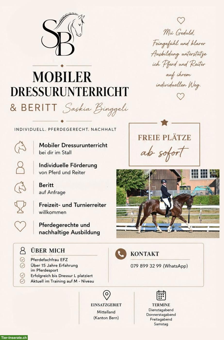 Mobiler Dressurunterricht & Beritt im Raum Bern