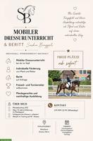 Mobiler Dressurunterricht & Beritt im Raum Bern