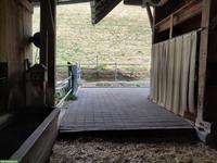 Offenstallplatz im Emmenthal für 2-3 Ponys oder Kleinpferde