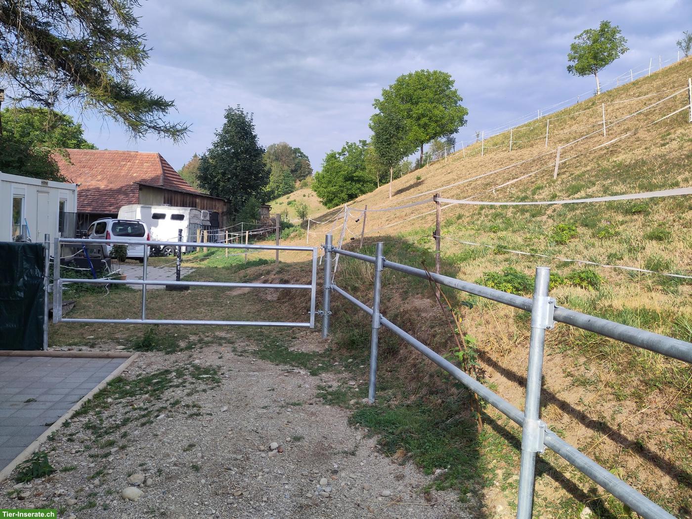 Bild 3: Offenstallplatz im Emmenthal für 2-3 Ponys oder Kleinpferde