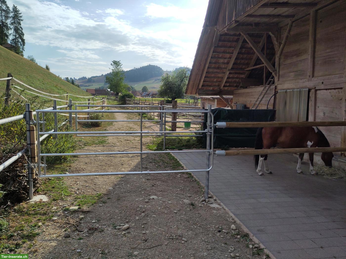 Bild 4: Offenstallplatz im Emmenthal für 2-3 Ponys oder Kleinpferde