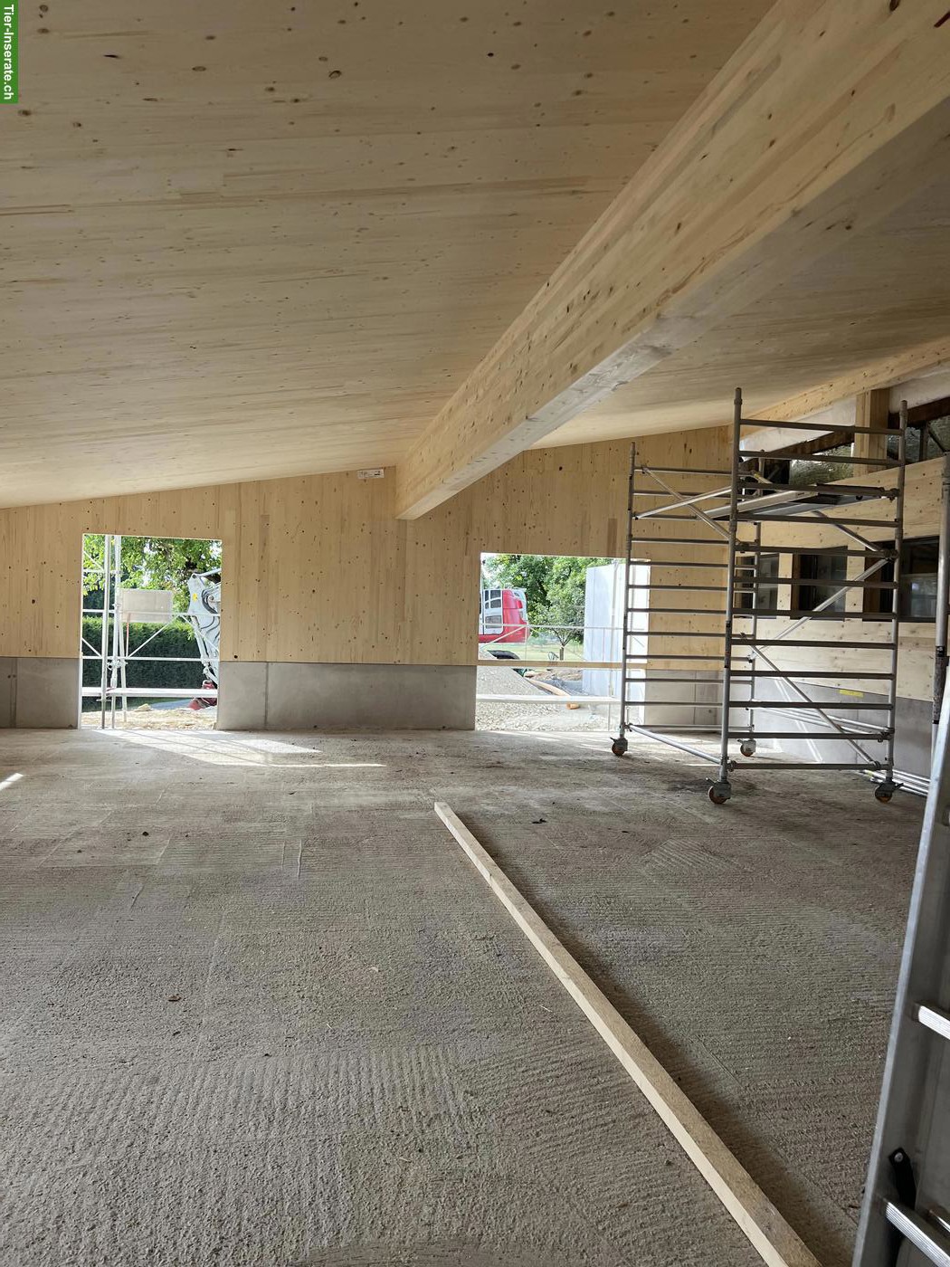 Bild 6: Offenstallplätze für Stauballergiker etc. in Wittenbach SG