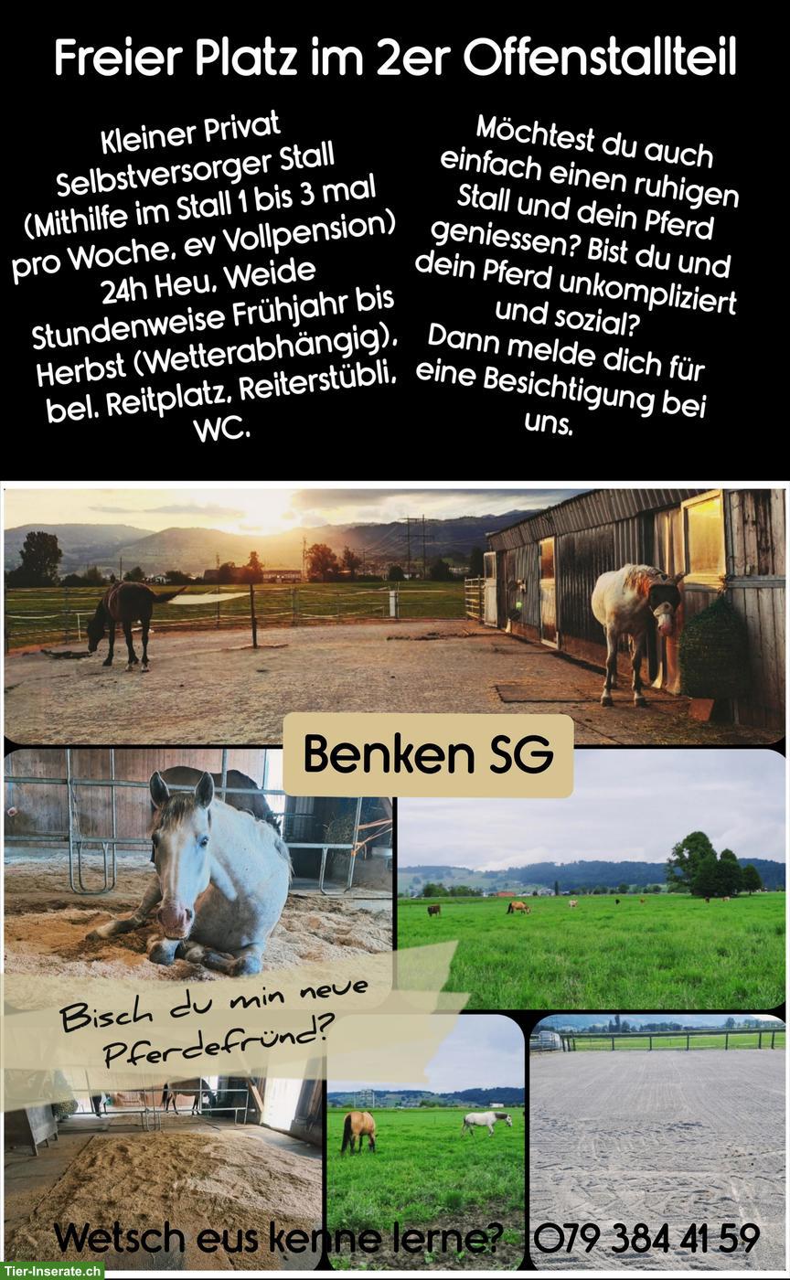 Offenstallplatz frei in Benken SG