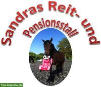 Job als Mitarbeiterin für Reitbetrieb in Stäfa ZH