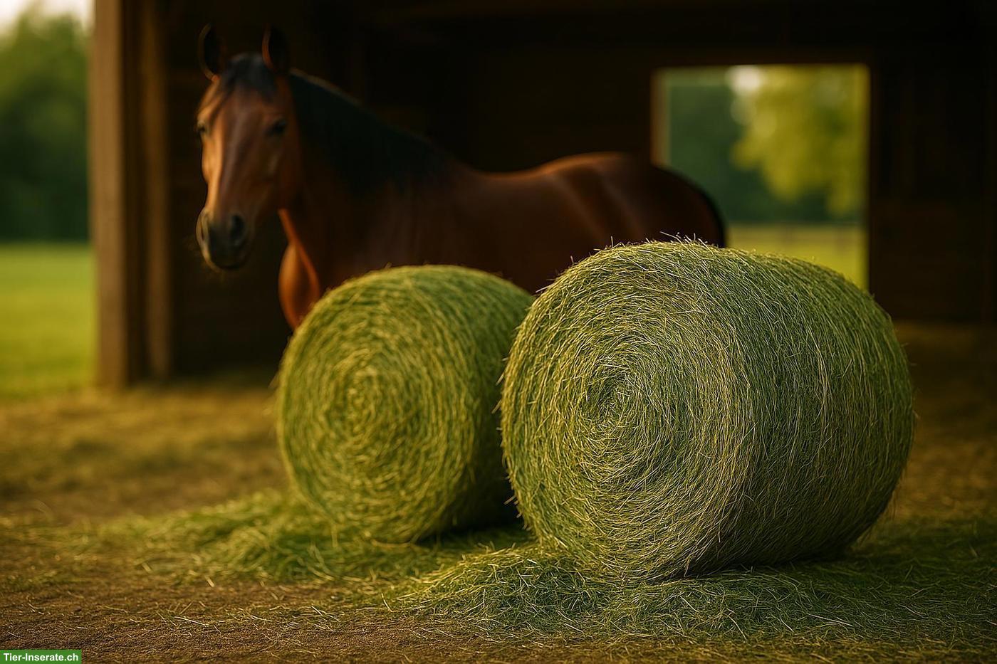 Rundballen Heu / Naturheu zu verkaufen