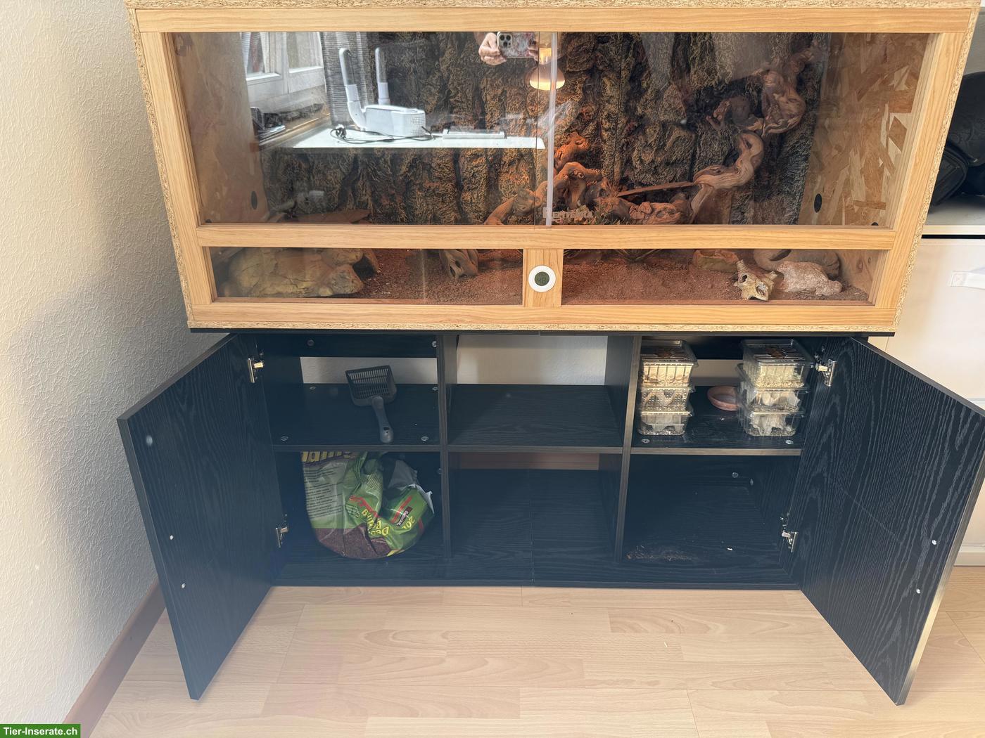 Bild 4: 2 Leopardengeckos inkl. neuem Terrarium & Terrariummöbel