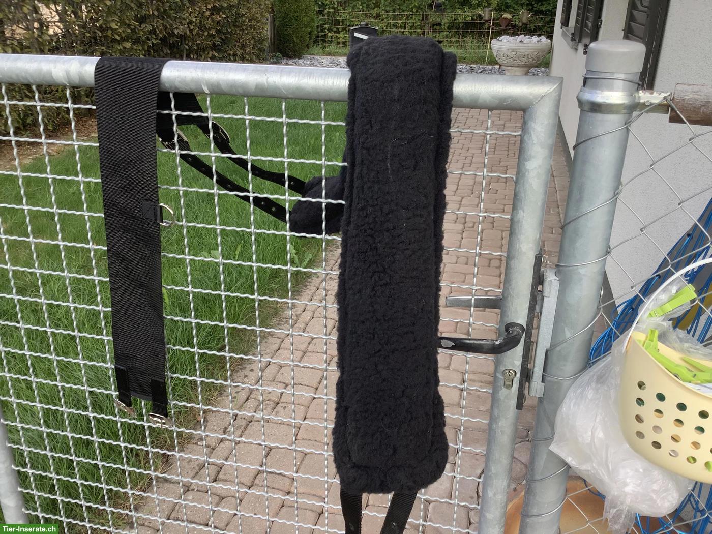 Bild 3: Longiergurt Waldhausen WB soft zu verkaufen