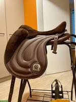 NEUES Signum-Paddle (Gr. M) in toller Optik 😍🐴